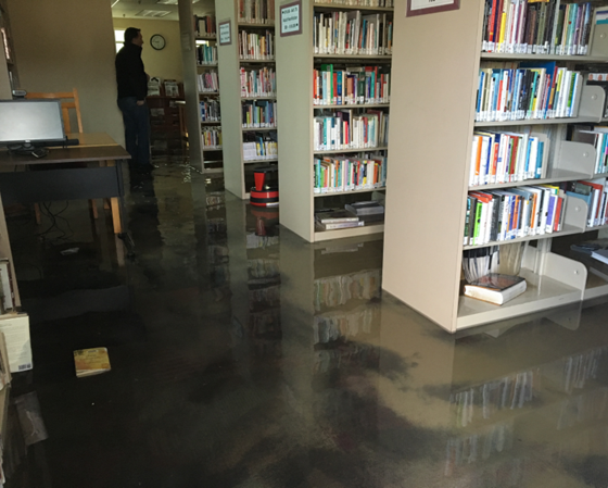 flooded interior of IC library