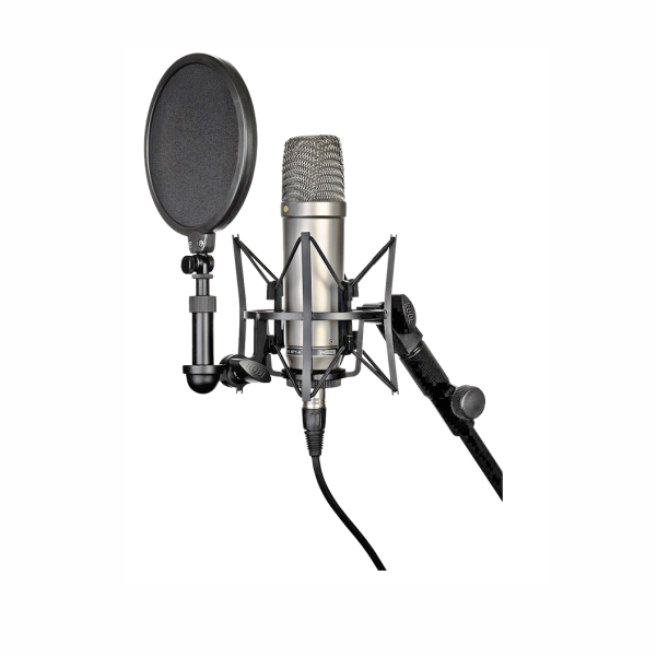 Image of microphone